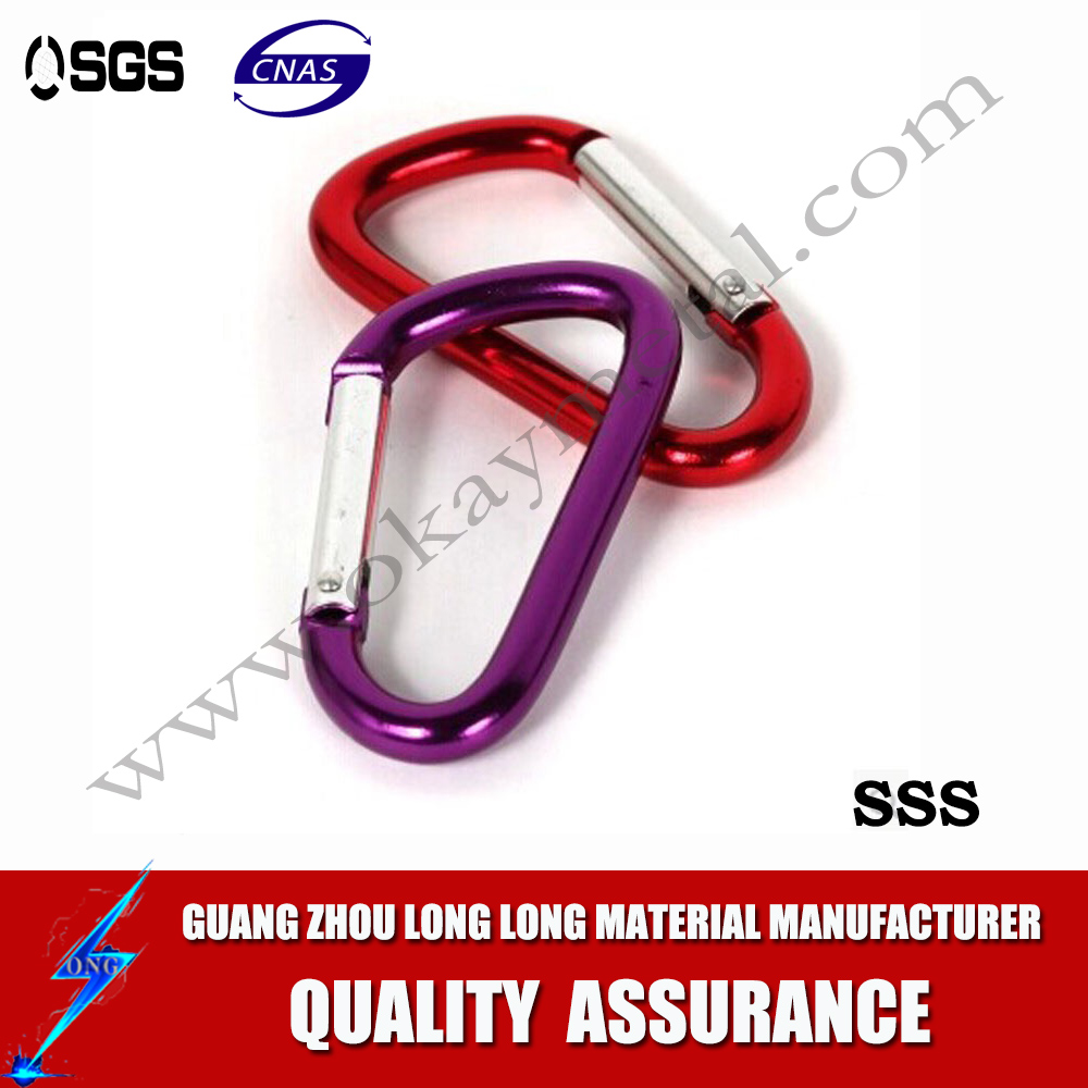 Carabiner hook clip 